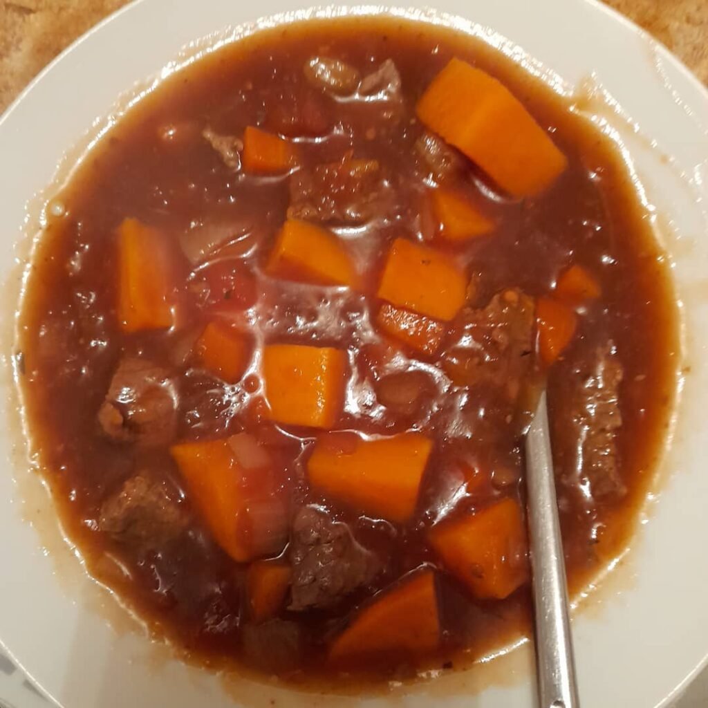 A bowl of beef and sweet potato stew for dogs.