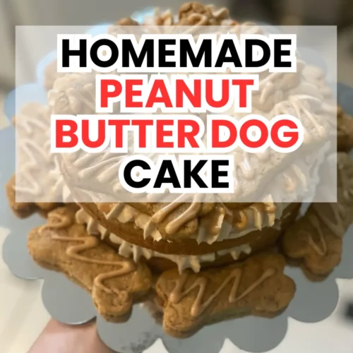Homemade Peanut Butter Dog Cake 3 Lemon 2 3