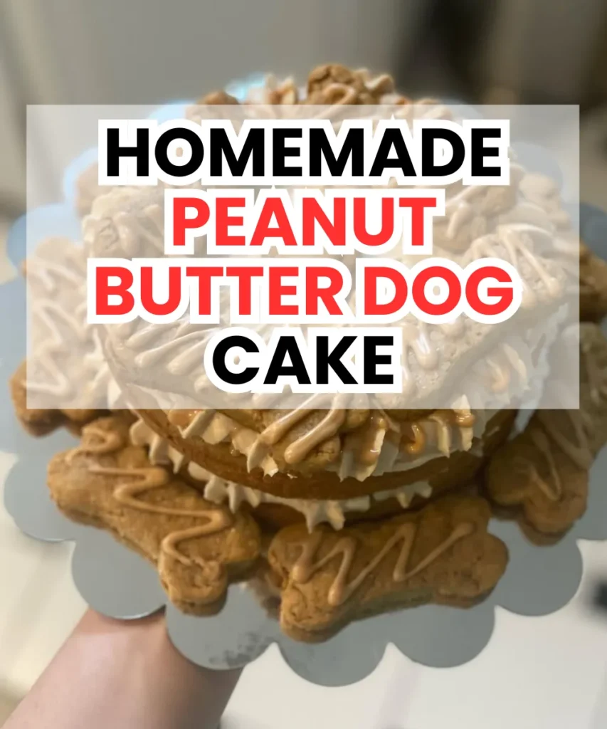 Homemade Peanut Butter Dog Cake 1 Lemon 2 3