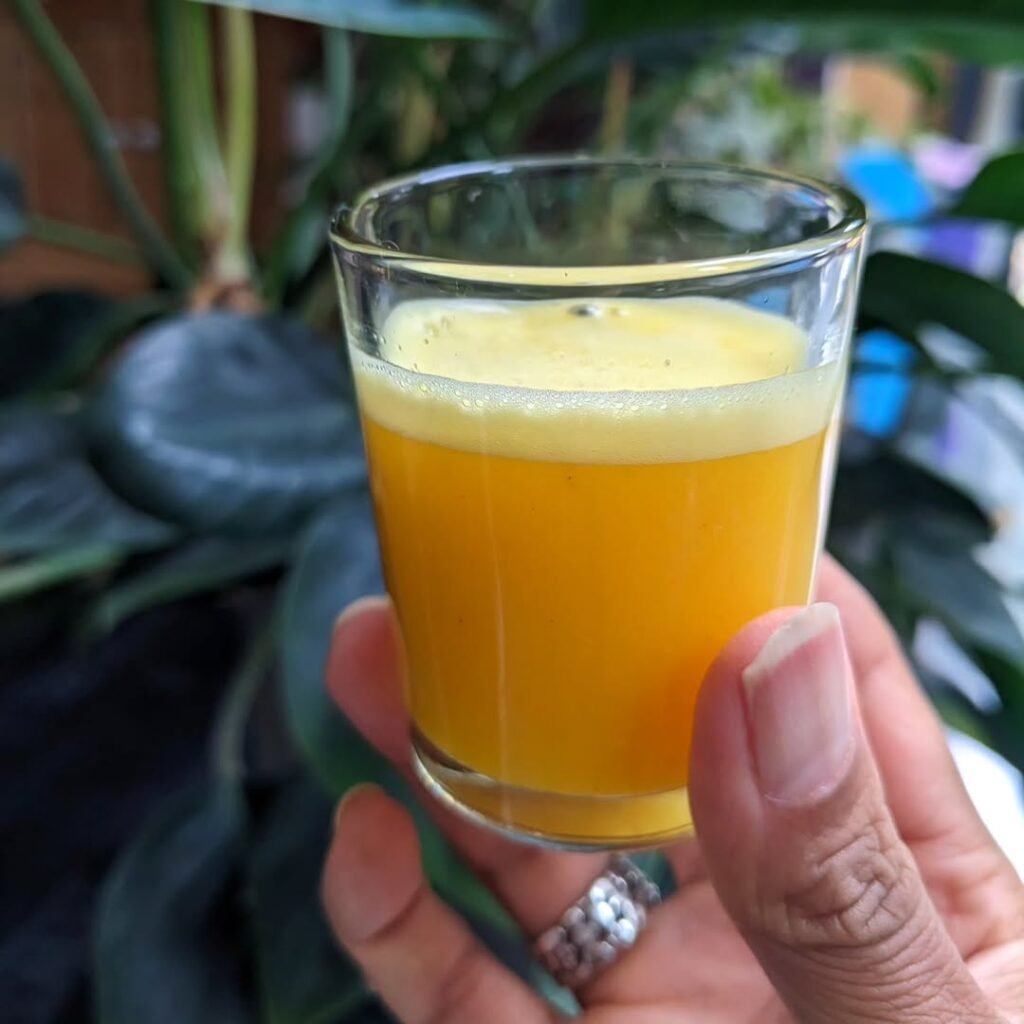 Healthy Ginger Wellness Shots Recipe – Best Immune System Booster 2 🍊🍋🫚 wellness shots With the shift in seasons it makes sense to support our immune health