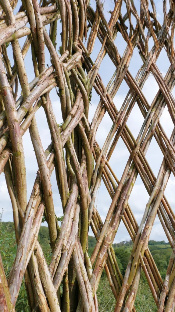 14 Backyard Garden Privacy Ideas Using Plants and Screens That Actually Work 12 fd 11 2